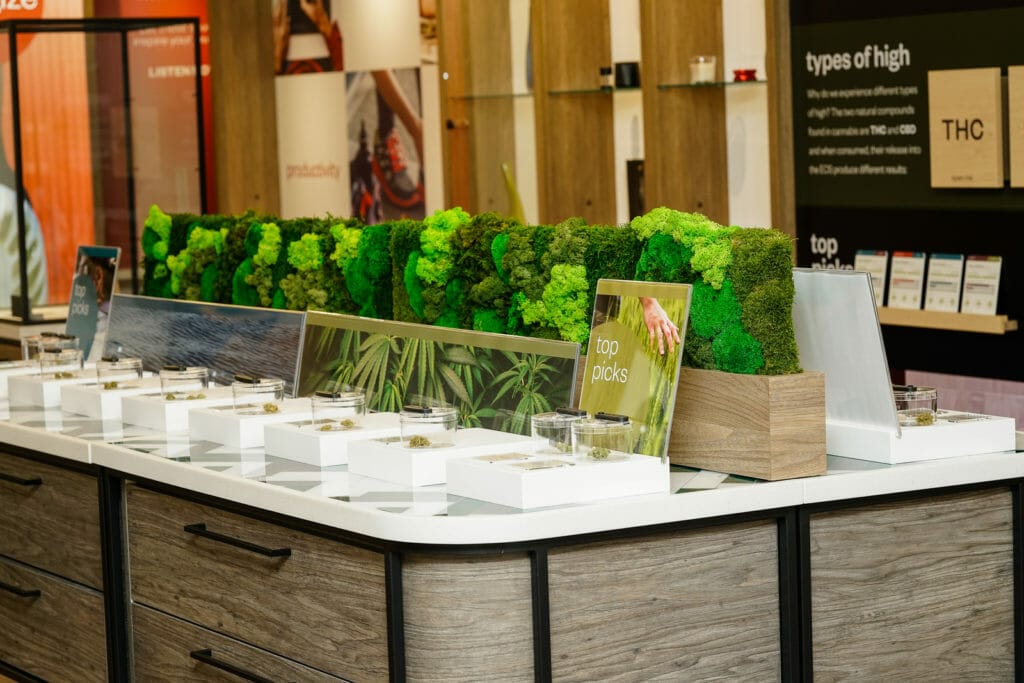 Close Up Floor Standing Displays Mihi Cannabis